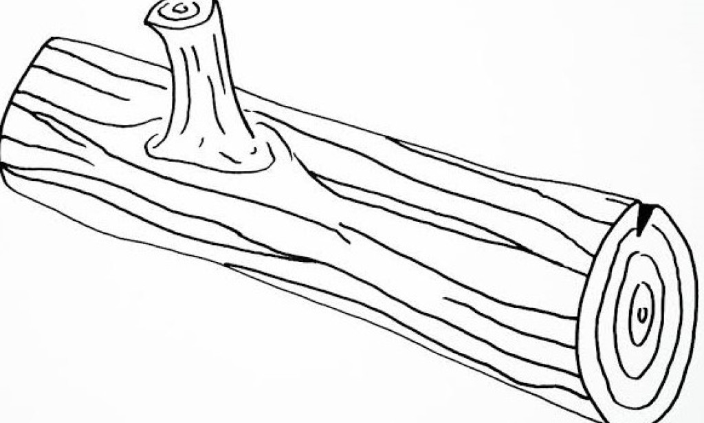 Life a regular city boy