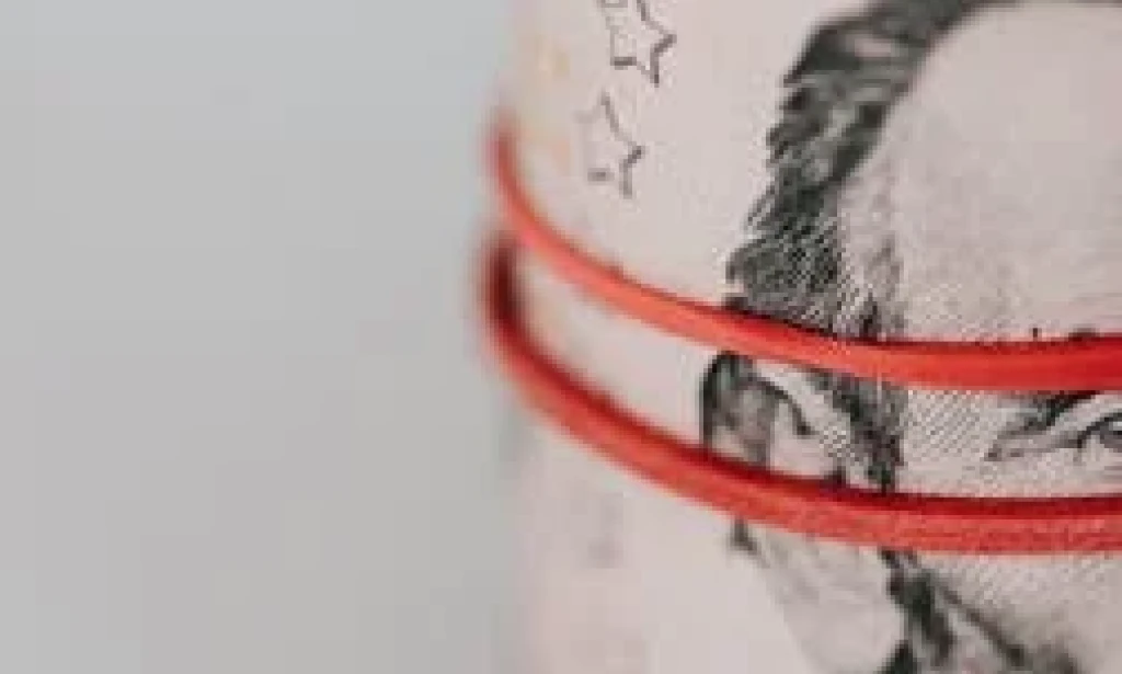 Protect Your Money: Beware of Websites That Accept Debit or Credit Card Without OTP Verification